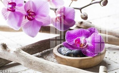 Tải file File gốc in tranh tổng hợp Q2629 (gốc) in nhanh