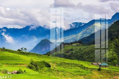 File gốc File gốc in tranh tổng hợp Q2677 (cho in ấn) từ Filetranh.com