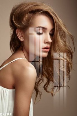 File tranh in trần File gốc in tranh tổng hợp Q2701 (ảnh gốc siêu nét)