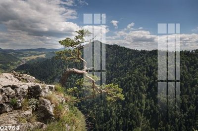 File in trần File gốc in tranh tổng hợp Q2768 (file gốc) xuyên sáng