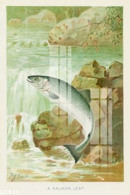 Tải file File gốc in tranh tổng hợp Q2810 (gốc) in ấn chất lượng