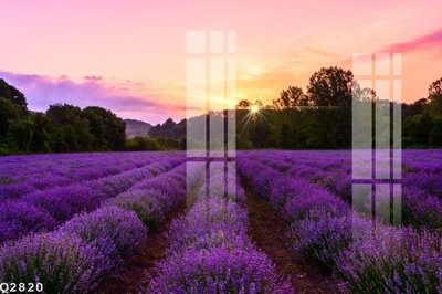 Tải file File gốc in tranh tổng hợp Q2820 (gốc) chủ đề phong thủy