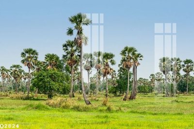 File gốc in tráng gương File gốc in tranh tổng hợp Q2824 chi tiết