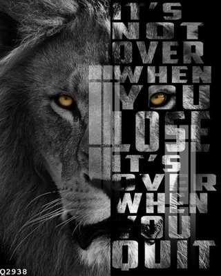 File in trần File gốc in tranh tổng hợp Q2938 (bản gốc) mây trời