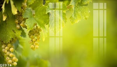 Tải file PSD File gốc in tranh tổng hợp Q2974 (nguyên layer) để in