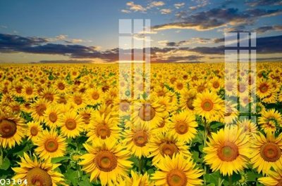 Download file gốc File gốc in tranh tổng hợp Q3104 (in mica) trang trí