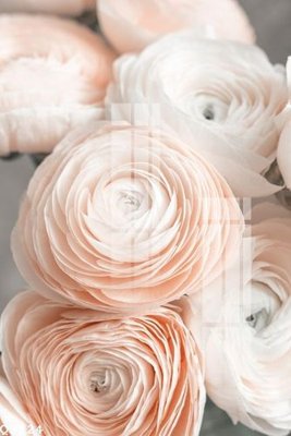 File tranh in mica File gốc in tranh tổng hợp Q3124 (độ phân giải cao)