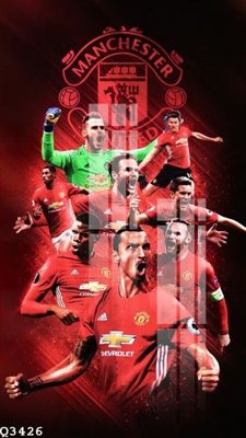 File in lụa File gốc in tranh tổng hợp Q3426 (hoa văn) File gốc in tranh tổng hợp Q3426