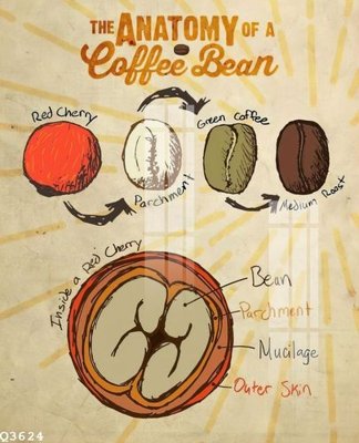 File tranh gốc File gốc in tranh tổng hợp Q3624 (sắc nét từng chi tiết)