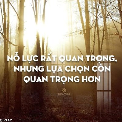 Tải về file tranh gốc File gốc in tranh tổng hợp Q3942 (để in quảng cáo)