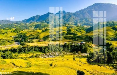 File tranh File gốc in tranh tổng hợp Q3973 (gốc) in trên kính