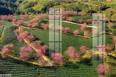 File gốc File gốc in tranh tổng hợp Q3995 (phong cách) tối giản