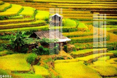 Tải file File gốc in tranh tổng hợp Q4002 (gốc) làm tranh treo tường