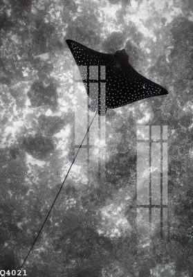 File gốc File gốc in tranh tổng hợp Q4021 (vector) cho in ấn