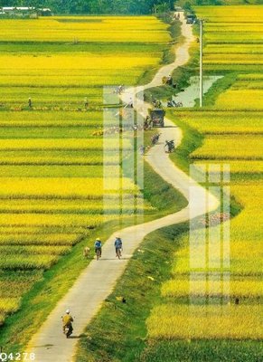 File tranh PSD File gốc in tranh tổng hợp Q4278 chất lượng cao