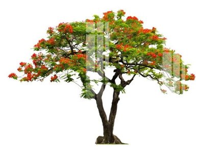 File gốc in ấn File gốc in tranh tổng hợp Q4347 chuẩn màu CMYK