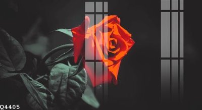 File tranh quảng cáo File gốc in tranh tổng hợp Q4405 (file gốc) chuyên nghiệp