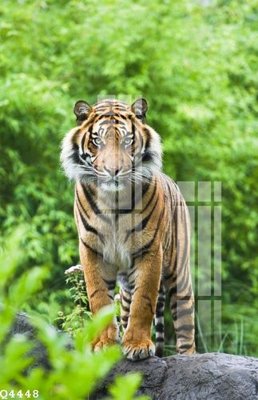 Tải về file gốc File gốc in tranh tổng hợp Q4448 (chuẩn in ấn)