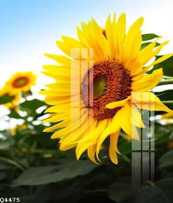 File tranh File gốc in tranh tổng hợp Q4475 (gốc) chủ đề thành phố