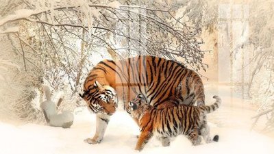 File gốc File gốc in tranh tổng hợp Q4517 (in mica) làm quà tặng