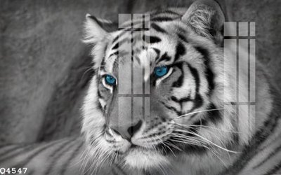 Tải file File gốc in tranh tổng hợp Q4547 (gốc) in tranh tráng gương