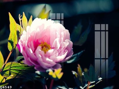 File ảnh File gốc in tranh tổng hợp Q4549 (gốc) cho trang trí nội thất