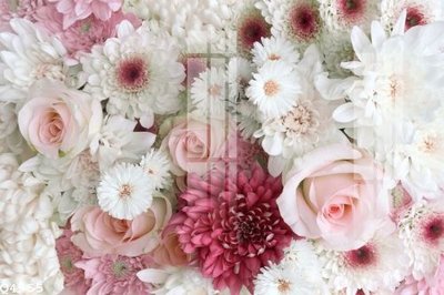 File gốc File gốc in tranh tổng hợp Q4555 (PNG) không nền chất lượng