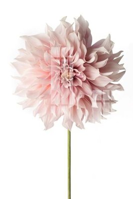 File gốc File gốc in tranh tổng hợp Q4561 (in ấn) màu sắc trung thực