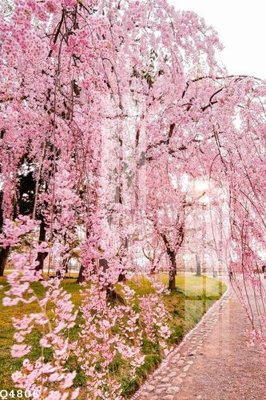 Tải file gốc File gốc in tranh tổng hợp Q4806 (in tráng gương) 5DFile gốc File gốc in tranh tổng hợp Q4806 (in ấn) phiên bản premium