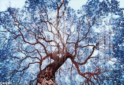 File tranh quảng cáo File gốc in tranh tổng hợp Q4840 (download file gốc)