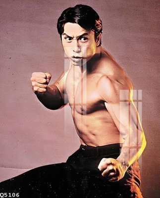 Chi tiết file tranh tráng gương File gốc in tranh tổng hợp Q5106 (ảnh gốc)