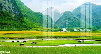 File tranh File gốc in tranh tổng hợp Q5246 (gốc) chủ đề con người