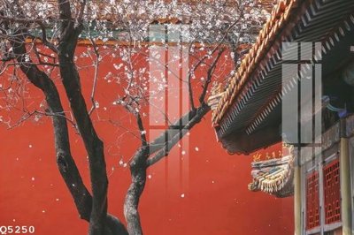 File PSD File gốc in tranh tổng hợp Q5250 (nguyên gốc) chất lượng cao