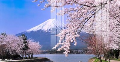 File in trần File gốc in tranh tổng hợp Q5262 (bản gốc) mây trời