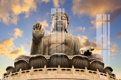 File tranh File gốc in tranh tổng hợp Q5623 (gốc) chủ đề động vật