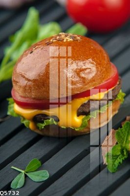 File tranh File gốc in tranh tổng hợp Q5732 (gốc) chủ đề động vật