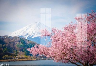 File in trần File gốc in tranh tổng hợp Q5795 (bản gốc) đại dương