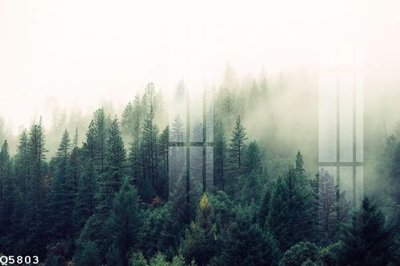 File gốc File gốc in tranh tổng hợp Q5803 (vector) cho in ấn