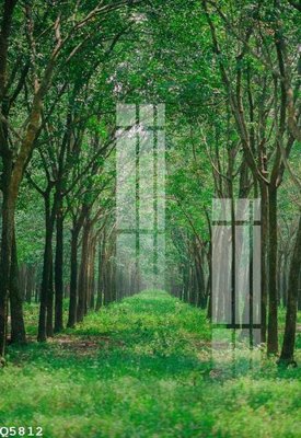 File gốc File gốc in tranh tổng hợp Q5812 (PNG) trong suốt (transparent)