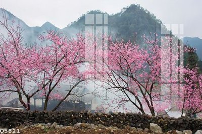 File in ấn File gốc in tranh tổng hợp Q5821 (bản gốc) cao cấp