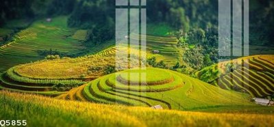 File gốc in mica File gốc in tranh tổng hợp Q5855 chất lượng