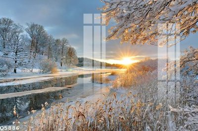 File gốc File gốc in tranh tổng hợp Q5886 (AI/EPS) cho in ấn