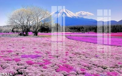 Download file tranh File gốc in tranh tổng hợp Q5926 (file gốc PSD)