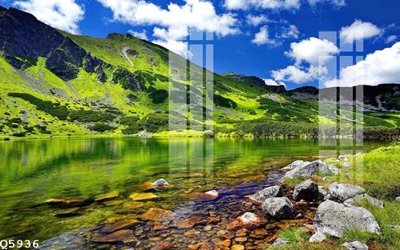 File in ấn File gốc in tranh tổng hợp Q5936 chuyên nghiệp