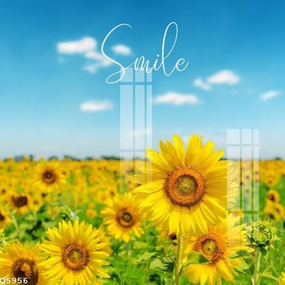 File tranh File gốc in tranh tổng hợp Q5956 (file gốc) chủ đề phong thủy