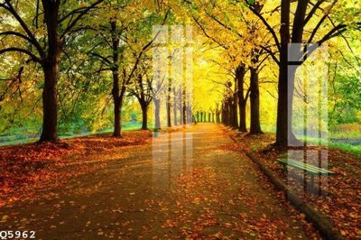 File gốc File gốc in tranh tổng hợp Q5962 (in lụa) chi tiết cao