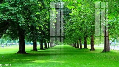 File ảnh File gốc in tranh tổng hợp Q5981 (gốc) in biển hiệu