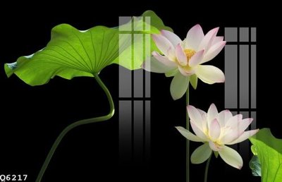 Tải file gốc File gốc in tranh tổng hợp Q6217 (in tráng gương) siêu đẹpFile tranh gốc File gốc in tranh tổng hợp Q6217 chất lượng cao