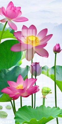 Hình ảnh file gốc File gốc in tranh tổng hợp Q6258 cho in UV