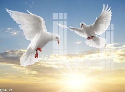 Tải file File gốc in tranh tổng hợp Q6633 (PSD) cho in ấn quảng cáo